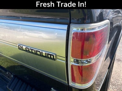 2010 Ford F-150 XL