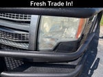 2010 Ford F-150 XL