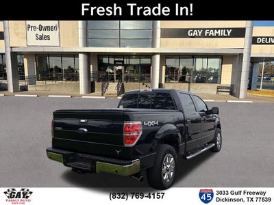 2013 Ford F-150 XL