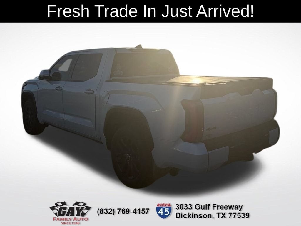 2022 Toyota Tundra 4WD Platinum