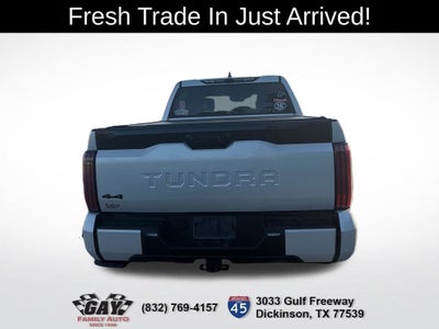 2022 Toyota Tundra 4WD Platinum