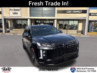 2025 Hyundai Palisade Calligraphy Night Edition