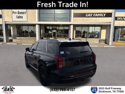 2025 Hyundai Palisade Calligraphy Night Edition