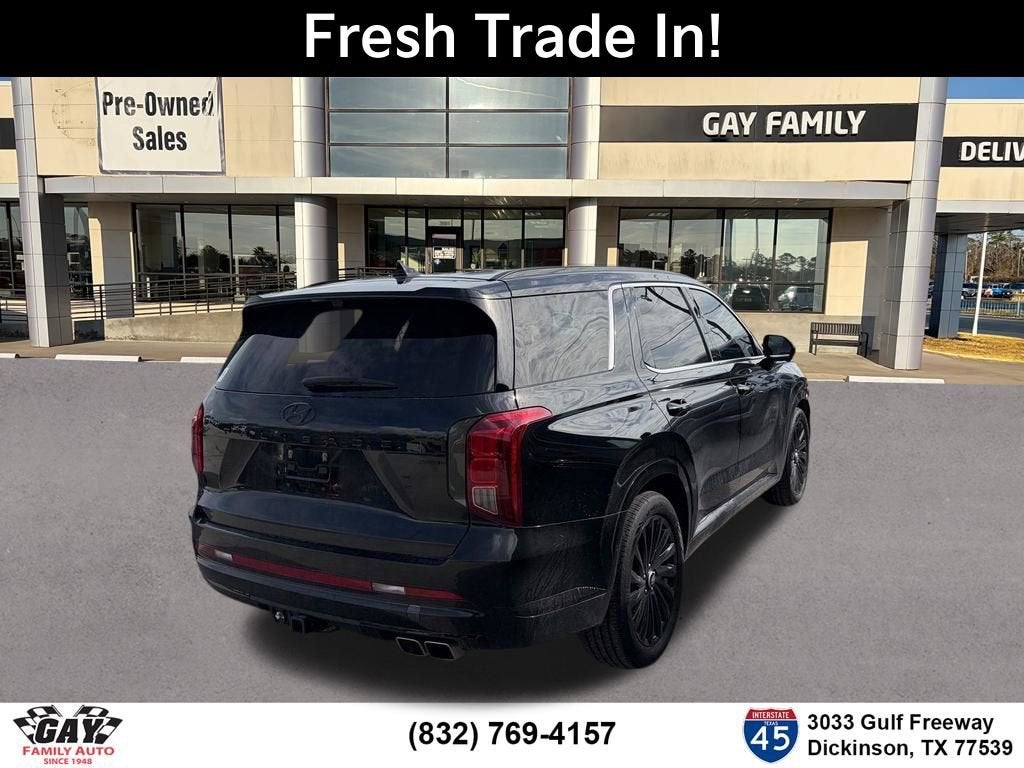 2025 Hyundai Palisade Calligraphy Night Edition