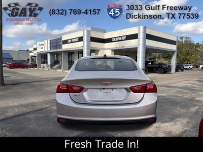 2019 Chevrolet Malibu LS 1FL